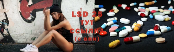 PSILOCYBIN Бородино
