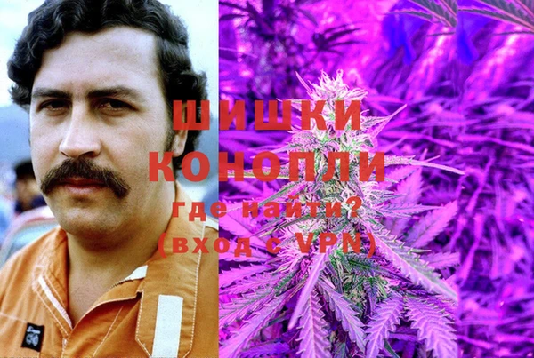 jwh Богородск