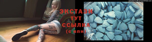 дживик Богородицк