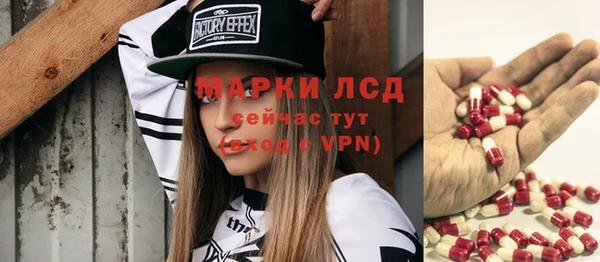 дживик Богородицк