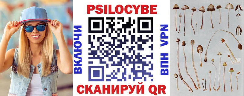 где найти   Наро-Фоминск  Галлюциногенные грибы Psilocybine cubensis 
